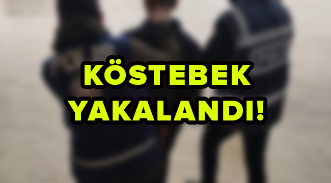 Köstebek Yakalandı!