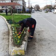 SARAY BELEDİYESİ, MEVSİMLİK ÇİÇEK EKİMİNE BAŞLADI