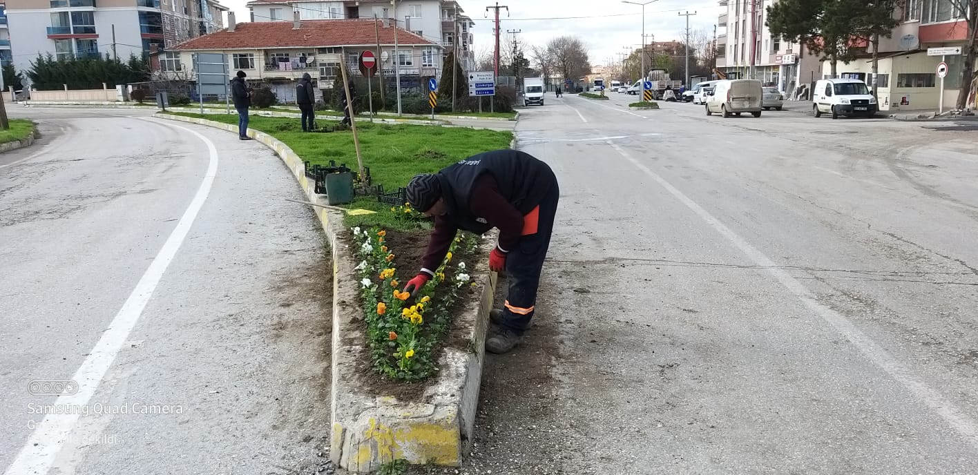 SARAY BELEDİYESİ, MEVSİMLİK ÇİÇEK EKİMİNE BAŞLADI