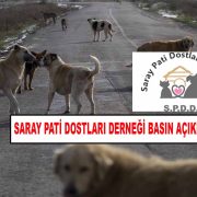 Saray Pati Dostları Derneğinden Basın Açıklaması